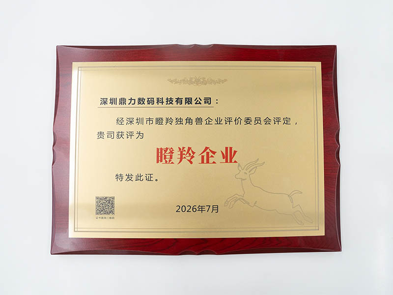 深圳鼎力数码科技有限公司获评
